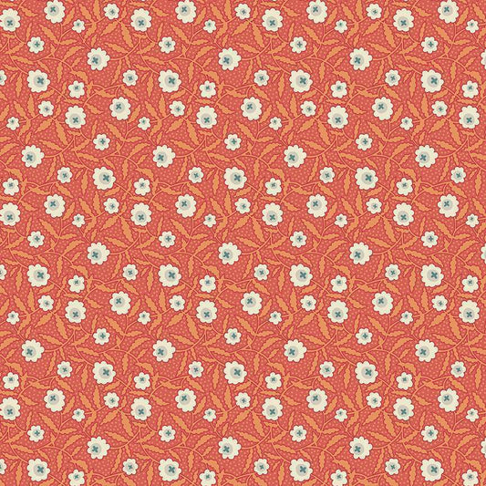 Bachelor Button Orange - 1016O