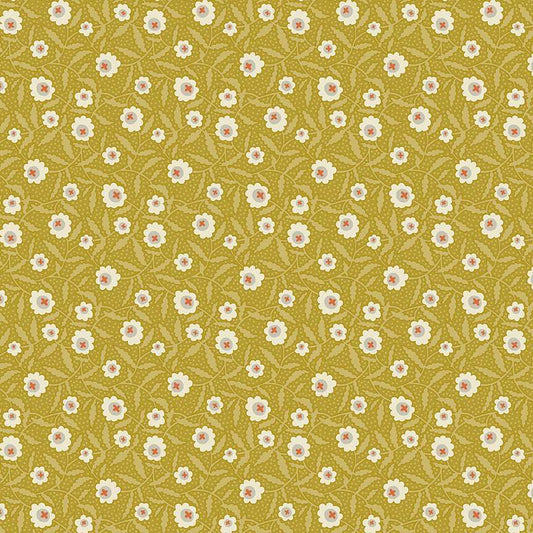 Bachelor Button Chartreuse - 1016Y